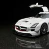 梅賽德斯AMG GT R Pro與SLS AMG黑色系列 梅賽德斯AMG GT R Pro與SLS AMG黑色系列