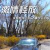 車評(píng)頭條：激情釋放 試駕英菲尼迪G25豪華運(yùn)動(dòng)版