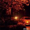 車評(píng)頭條：上海大眾新桑塔納長測(cè)（22）：重逢有感