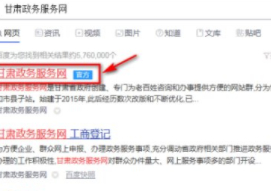甘肅政務(wù)服務(wù)網(wǎng)繳費(fèi)流程第1步