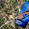 創(chuàng)新科技資訊：OnePlus 6系列更新修復了黑屏問題 添加了新的安全補丁