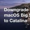 創(chuàng)新科技資訊：將macOS Big Sur Beta降級到macOS Catalina [操作方法]
