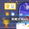互聯(lián)網(wǎng)前沿：今天小雞寶寶考考你答題答案：鼓浪嶼鼓浪嶼的得名主要因?yàn)?27