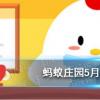 互聯(lián)網(wǎng)前沿：今天小雞寶寶考考你答題答案：瓜子的脂肪含量很高所以吃瓜子相當(dāng)于喝油這個(gè)說法5月6日答案最新