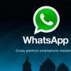 最新的WhatsAppbeta終于加入了黑暗主題