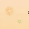 蘋(píng)果6s（蘋(píng)果6s）