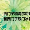 西門子和海爾對開門冰箱哪個(gè)好（求大神解答海爾雙門冰箱和西門子雙門冰箱哪個(gè)好）