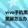 vivo手機(jī)黑屏怎么辦顯示燈還閃（vivo手機(jī)黑屏怎么辦）