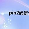 pin2碼是什么東西（PIN2碼是什么）