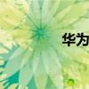 華為mate9（華為mate）