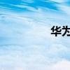 華為7如何去掉卡2圖標(biāo)？