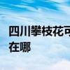 四川攀枝花可提供大金中央空調(diào)維修服務(wù)地址在哪