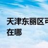 天津東麗區(qū)可提供TCL中央空調(diào)維修服務(wù)地址在哪