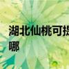 湖北仙桃可提供特靈中央空調(diào)維修服務(wù)地址在哪