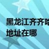黑龍江齊齊哈爾可提供志高中央空調(diào)維修服務(wù)地址在哪