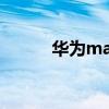 華為matepad 11（華為Mate）