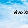 vivo X80標準版渲染圖（vivo）