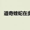 道奇蝰蛇在多少錢(福特眼鏡蛇gt500報價)