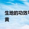 生地的功效與作用 清熱涼血第一藥——生地黃