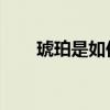 琥珀是如何形成的？琥珀收集和維護
