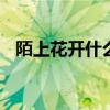 陌上花開什么意思 陌上花開，可緩緩歸矣
