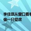 李佳琪從窗口看著張韶涵，就像一只壁虎——李佳琪看起來像一只壁虎