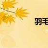 羽毛球拍磅的壓力有多大