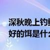深秋晚上釣鯽魚好不好？-深秋夜晚釣鯽魚最好的餌是什么