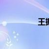王振忠 福州市歷任公安 王振忠 福州市歷任公安