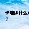 卡哇伊什么意思 在，“卡哇伊”究竟是什么？