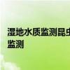 濕地水質(zhì)監(jiān)測(cè)昆蟲 人們通常會(huì)借助哪種昆蟲對(duì)濕地水質(zhì)進(jìn)行監(jiān)測(cè)