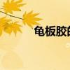龜板膠的功效與作用及食用方法