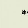 冰島 趣歷史｜冰島歷屆