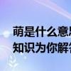 萌是什么意思 “萌”在哪里？有趣的心理學(xué)知識(shí)為你解答