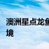 澳洲星點(diǎn)龍魚怎么養(yǎng)？澳洲星點(diǎn)龍魚的生存環(huán)境