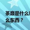 荼靡是什么意思 開到荼蘼”的“荼蘼”是什么東西？