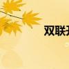 雙聯(lián)開關 雙控開關接線圖？