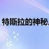 特斯拉的神秘皮卡 電動卡車于11月21日亮相