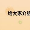 給大家介紹下比亞迪唐DM性能怎么樣