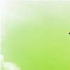 烏龜?shù)埃觚數(shù)埃? title=