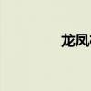 龍鳳褂和秀禾服（龍鳳褂）