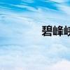 碧峰峽門票多少錢（碧峰峽）