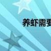 養(yǎng)蝦需要什么條件和技術(shù)（養(yǎng)蝦）
