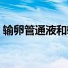 輸卵管通液和輸卵管造影區(qū)別(輸卵管通液) 輸卵管通液和輸卵管造影區(qū)別(輸卵管通液)