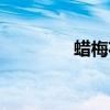 蠟梅花品種介紹（蠟梅花）