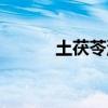 土茯苓湯做法大全（土茯苓湯）