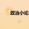 政治小論文范文參考（政治小論文）