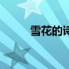 雪花的詩句和古詩（雪花的詩句）