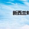 新西蘭蜂蜜怎么吃（新西蘭蜂蜜）