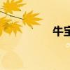 牛寶模擬炒股（牛股寶）